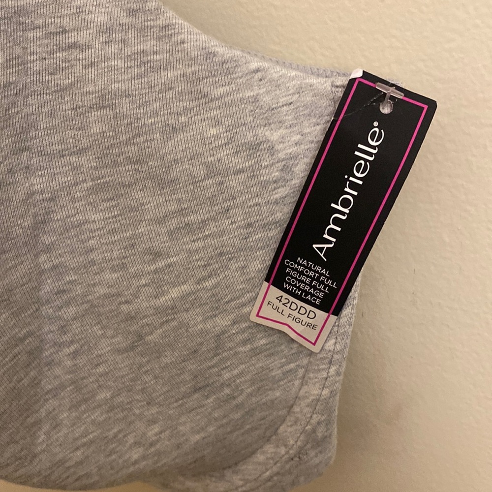Ambrielle Full Figure Bra (NWT)